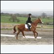 durdress9_0318