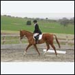 durdress9_0319