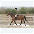 durdress9_0323