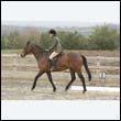 durdress9_0324