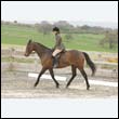 durdress9_0325