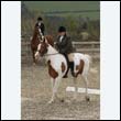 durdress9_0327