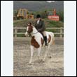 durdress9_0331