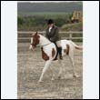 durdress9_0332