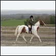 durdress9_0334