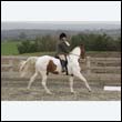 durdress9_0335