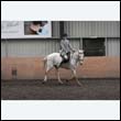durdress9_0336
