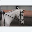 durdress9_0339