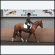 durdress9_0345