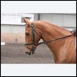 durdress9_0347