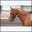 durdress9_0348