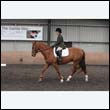 durdress9_0350
