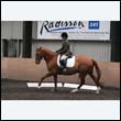 durdress9_0355