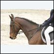 durdress9_0356
