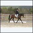 durdress9_0365