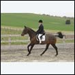 durdress9_0366