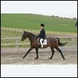 durdress9_0367