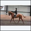 durdress9_0368