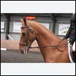 durdress9_0370