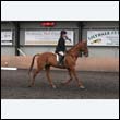 durdress9_0371