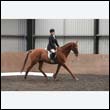 durdress9_0372