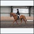 durdress9_0373