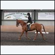durdress9_0374