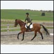 durdress9_0385