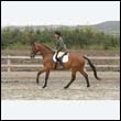 durdress9_0386
