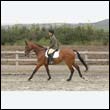 durdress9_0387
