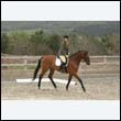 durdress9_0388