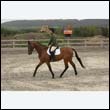 durdress9_0389