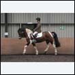 durdress9_0391