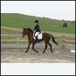 durdress9_0396