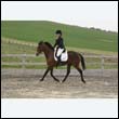 durdress9_0397