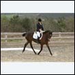durdress9_0398
