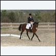 durdress9_0399