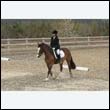 durdress9_0403