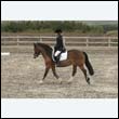 durdress9_0404
