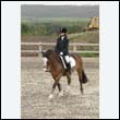 durdress9_0406