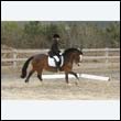 durdress9_0410