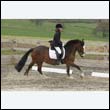 durdress9_0411
