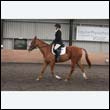 durdress9_0418