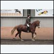 durdress9_0427
