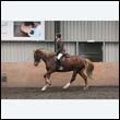 durdress9_0431
