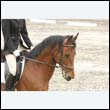 durdress9_0433