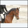 durdress9_0434