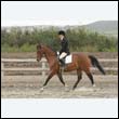 durdress9_0435