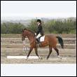 durdress9_0437