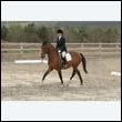 durdress9_0438